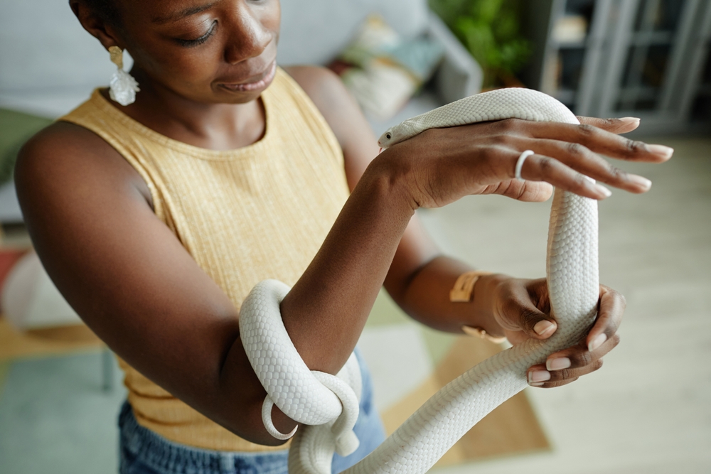 Autistic woman’s emotional support animal just reptile who doesn’t give a fuck about her