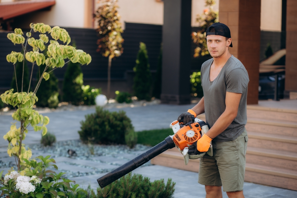 Neighbour with leafblower just doing it for fun now