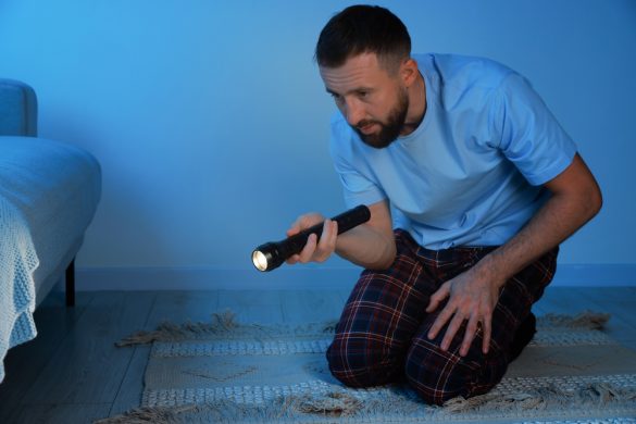A person kneeling by the edge of a bed, shining a torch under it
